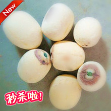 包邮 2019白莲子干货莲子500g带心野生白莲子无硫湘莲白莲子1件