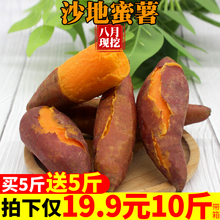 10斤带箱现挖沙地蜜薯红薯新鲜农家板栗香薯地瓜番薯山芋 19.9元