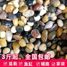 雨花石原石天然鹅卵石五彩石白石子鱼缸盆栽多肉小石头鹅暖石花盆