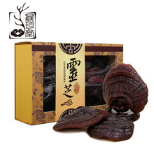 长白山灵芝紫灵芝礼盒东北灵芝 灵芝礼盒装两盒送袋子