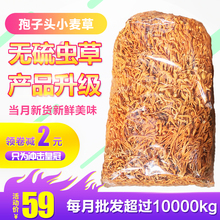虫草花煲汤 1公斤产地发直销批北虫草花干货蛹虫草金虫草1000g正品