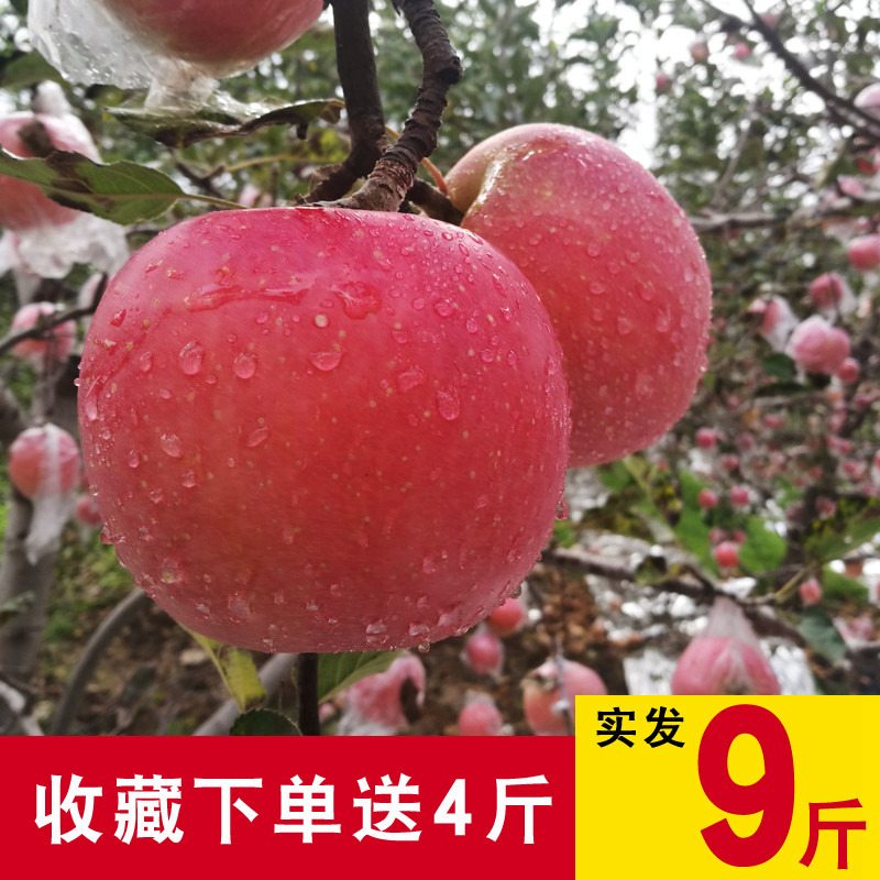 神农架林区快易花提现多久到账【加)V信Q同号