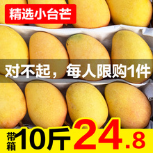 包邮 整带箱10斤 广西百色芒果小台芒台农芒果新鲜水果应季时令批发