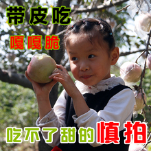 包邮 萍果 陕西红富士苹果10斤当季冰糖心新鲜水果脆甜丑苹果一整箱
