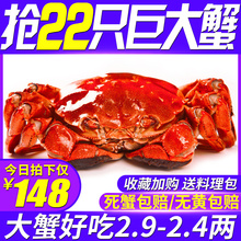 六月黄大闸蟹螃蟹鲜活 大闸蟹海鲜水产新鲜现货公母蟹特大香辣蟹