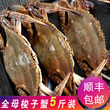 包邮 鲜活急冻大白蟹飞蟹大闸蟹螃蟹海鲜水产顺丰 梭子蟹母蟹5斤装