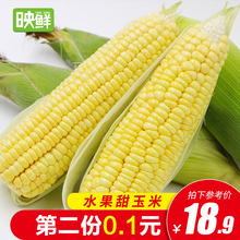 海南新鲜当季水果玉米4斤包邮可生吃的甜玉米棒批发整箱香糯甜糯