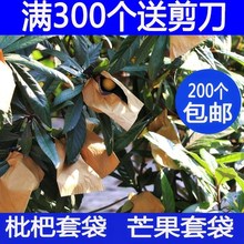 袋子果树水果套袋梨子双层?;ぐ莱婺陀描凌?专用纸袋子套苹果