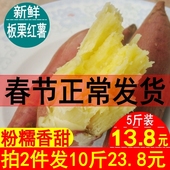 板栗红薯新鲜白心红薯蜜薯农家特产小香薯烤地瓜番薯山芋白心红薯