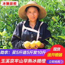 云南冰糖橙10斤青皮甜橙早橙玉溪哀牢山早熟橙子新鲜水果批发包邮