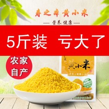 寿之本黄小米河北特产2500g小米粥月子米五谷杂粮小黄米5斤新米