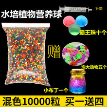 海绵宝宝吸水珠水晶泥海洋宝宝水晶珠泡大珠水晶宝宝水精灵吸水球