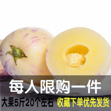 云南石林人参果生果现摘花孕妇长果新鲜水果农家5斤包邮当季蔬果