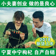 枸杞子宁夏中宁枸杞农家特产苟杞子新货免洗正宗红构杞特级500g