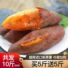 越南进口板栗薯新鲜红薯农家自种蜜薯地瓜红心鲜甜紫薯山芋年货