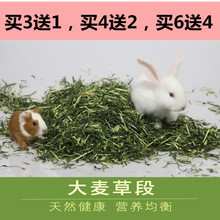 2017年新草大麦草段兔子荷镭贾黼嗍罅猫牧草零食粗纤维兔草兔粮