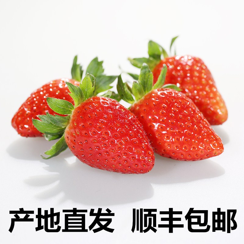 生鲜直供模式下的行业新风