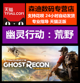 游戏 点数组合包 充值 GR点数 Uplay 荒野 幽灵行动 PC正版Steam