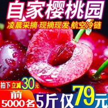 包邮 烟台大樱桃5斤山东车里子非美早大连樱桃10甜 车厘子新鲜水果