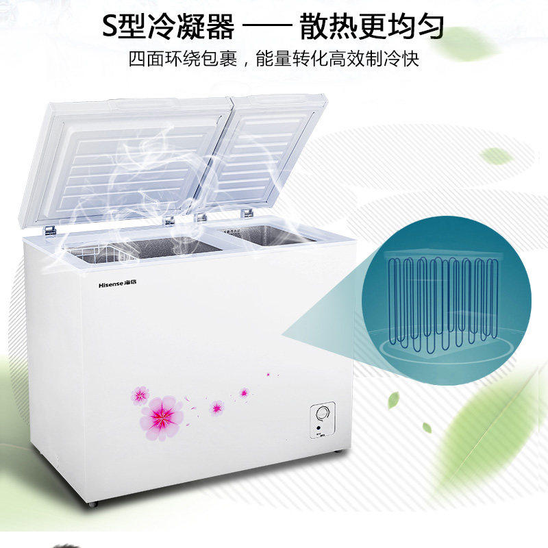 ����˫����ر���BCD-163N/B