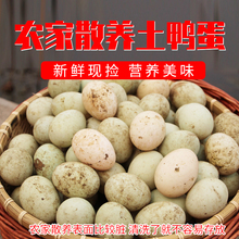生鸭蛋新鲜鸭蛋土鸭蛋微山湖农家散养鸭蛋青皮绿皮笨鸭蛋30枚