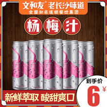 文和友网红款冰杨梅汁冰镇新鲜酸甜果蔬饮料罐装240ml