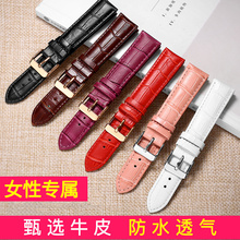 表带女真皮卡西欧时尚潮流手表皮带配件女士气质女款dw表链手表带