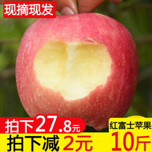 18年果带箱10斤山西丑新鲜苹果红富士水果包邮吃的冰糖心整箱批发