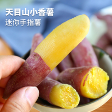 新鲜临安天目山小香薯5斤红薯板栗番薯迷你金手指沙地瓜黄心山芋