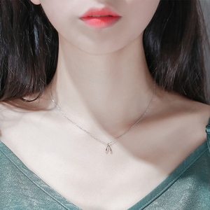 s925纯银许愿骨项链
