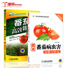 农业种植番茄育苗无土栽培 书籍大棚高温棚西红柿种植技术大全书籍蔬菜栽培技术 图说番茄病虫害诊断与防治种植番茄 番茄高效栽培