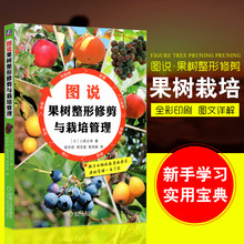 大棚农业种植技术大全书籍果树种植栽培园林嫁接苗木整形修剪与管理教程 果树病虫害诊断防治图解书柑橘葡萄苹果猕猴桃树 彩印新版