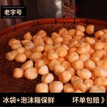 广东云浮罗定特产美食火锅打边炉百搭新鲜食材素龙皱纱鱼腐老字号
