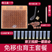 包邮 蜜蜂育王全套工具养蜂免移虫器新手育王专用捕王器王台保护罩