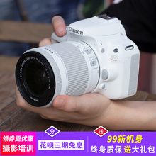 100D 白色数码 佳能EOS 600D 700D二手入门级单反照相机 高清旅游