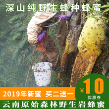 云南蜂蜜 纯天然野生蜂种 崖蜂蜜 深山老林悬崖 岩蜜 崖蜜 百花蜜
