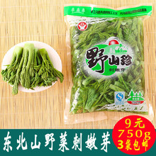 野生山珍刺老芽750克3袋 包邮 刺嫩芽 东北野生山野菜2018保鲜袋装