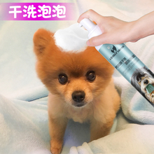 猫咪幼犬免水洗除臭除菌驱虫宠物沐浴露干洗泡沫用品 狗狗干洗粉