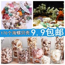 地中海工艺品创意漂流瓶 饰套装 天然海螺贝壳珊瑚水族箱鱼缸造景装