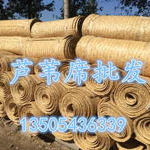 芦苇席 炕席 苇席 床席 火炕席 吊顶席 装饰席 草席 天然炕席子