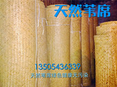 隔潮席吊顶草席装 饰席 东北火炕席芦苇席草席苇席炕席火炕席床席