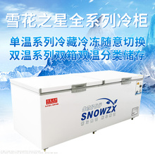 雪花之星1018升节能商用单温双温两用大冰柜冷柜冷冻冷藏速冻雪柜