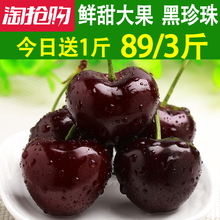 包邮 烟台大樱桃新鲜水果山东车厘子黑珍珠共发3斤非现货 现摘现发