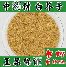 保证500克2斤 白介子 包邮 芥菜子辣菜子新货正品 中药材白芥子