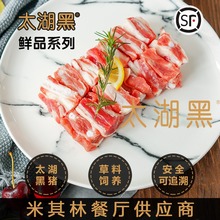 土猪肉农家新鲜野香猪肉 黑猪仔排 太湖黑 黑猪仔带肉软骨