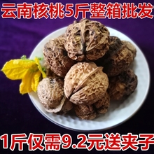 新货云南永平野生薄皮山核桃纸皮核桃孕妇5斤散装送夹子零食坚果