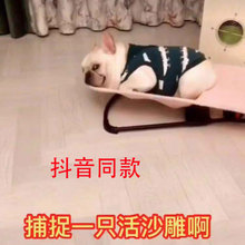 宠物摇椅摇篮床小狗躺椅安抚椅法斗八哥泰迪摇摇椅哄睡哄娃神器