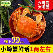 0.9 只生鲜河蟹螃蟹 1.2两 8对 现货鲜活六月黄大闸蟹16只装