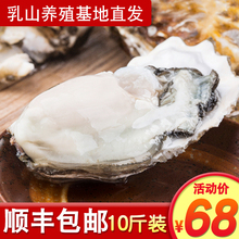 乳山牡蛎新鲜大生蚝即食海鲜鲜活海蛎子水产贝类现捞10斤顺丰包邮