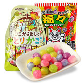 日本进口 卡昵诗什锦水果汽水味糖果65g*2袋鸟笼招财猫图案